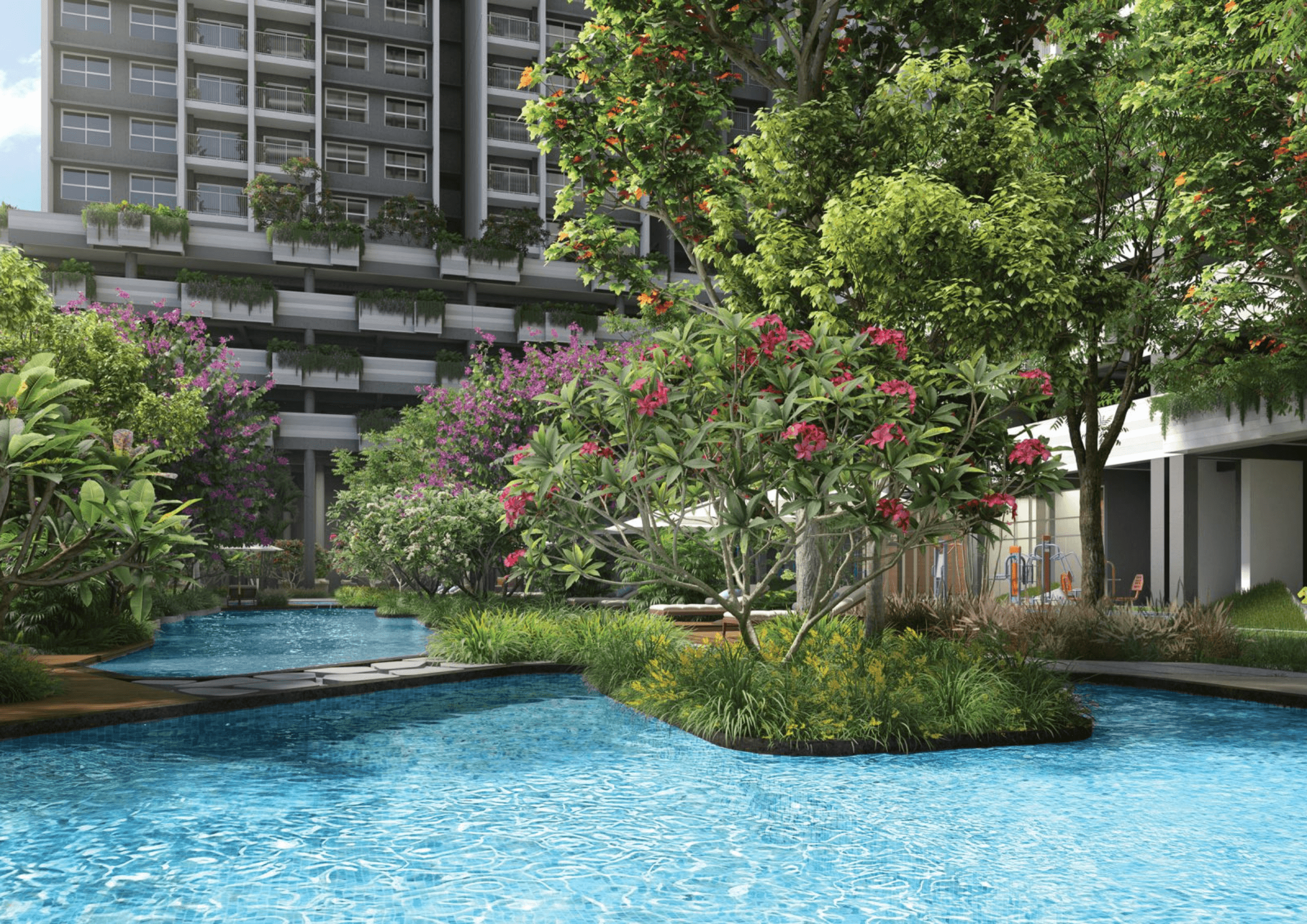 Rohan harita aminities