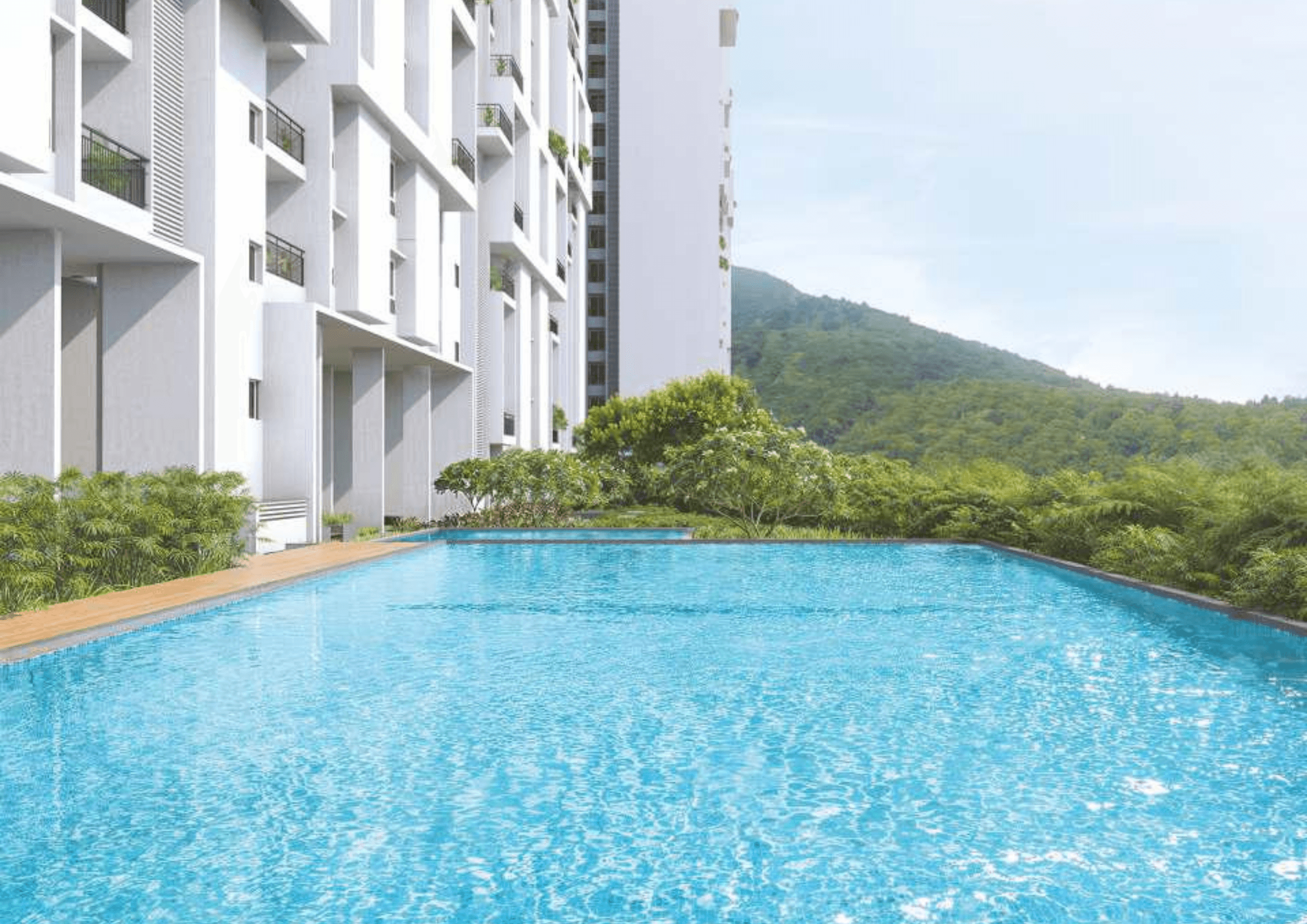 Rohan Saroha aminities