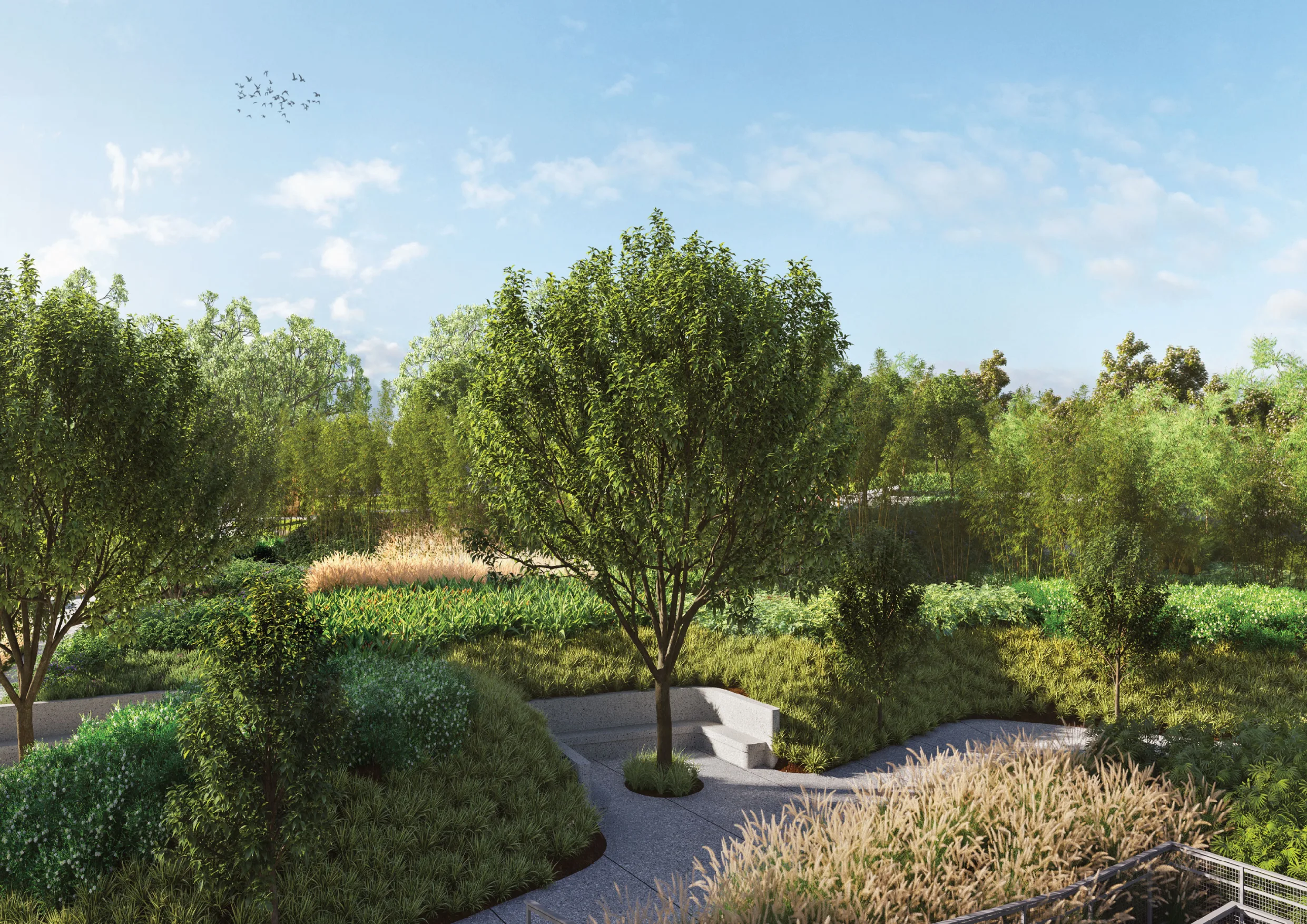 Green Front Nana Nani Area