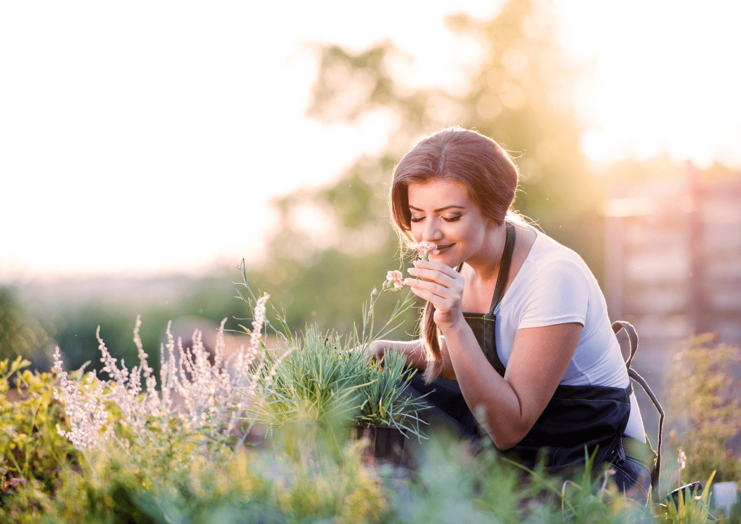 SUPREME RIVANA PUNAWALE PUNE